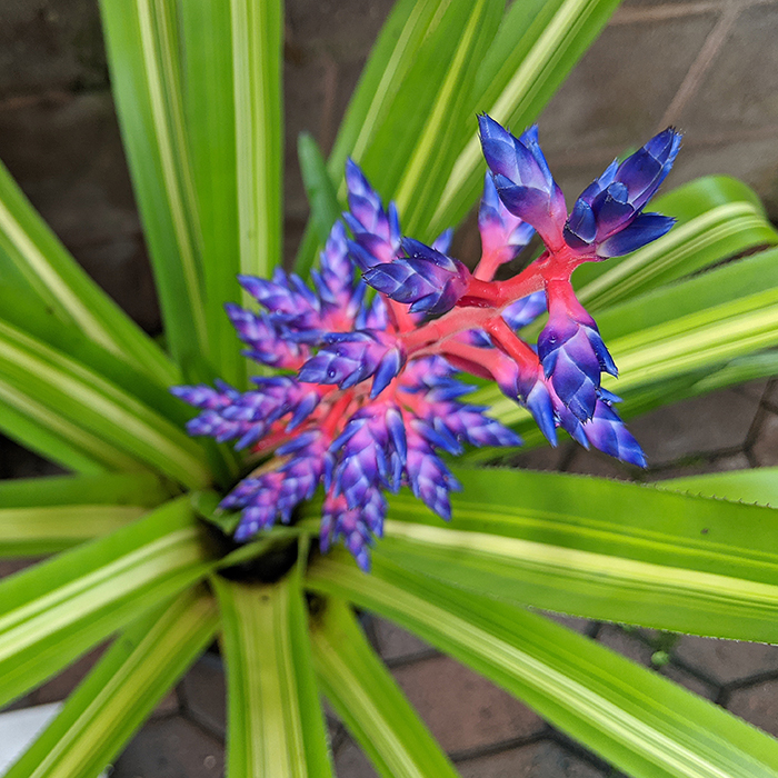 6862 MarcoCiavolino Week 2020 27 ComplementaryColors Post