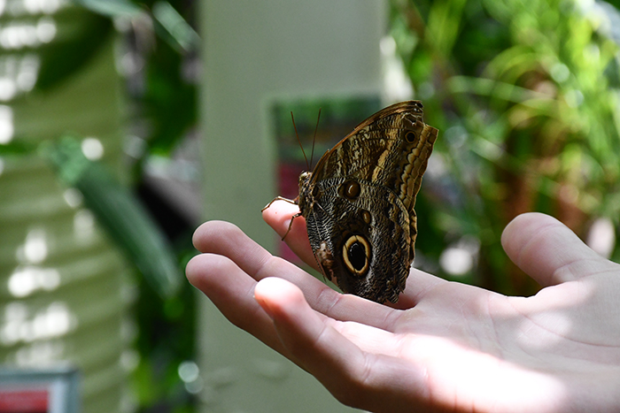 6862 MarcoCiavolino Week 25 Background DSC 0396