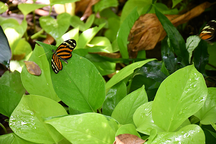 6862 MarcoCiavolino Week 25 Background DSC 0412