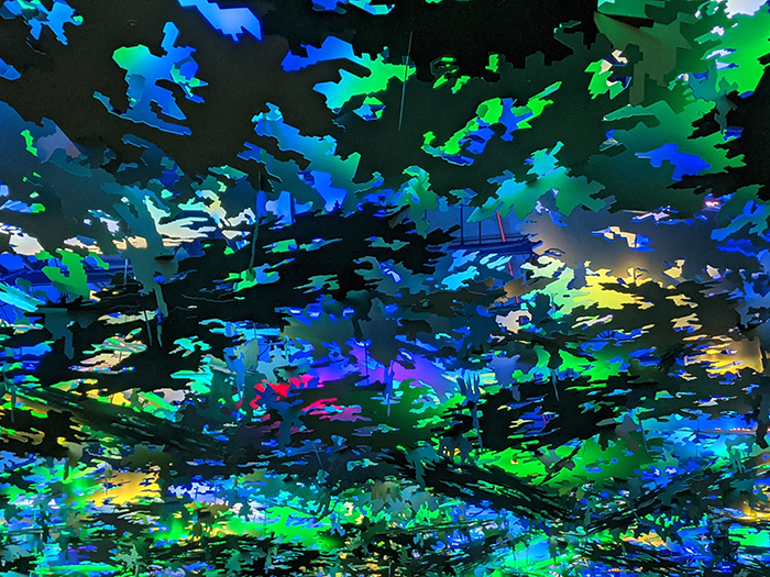 6862 MarcoCiavolino Week 20200217 07 Color Pallette Post