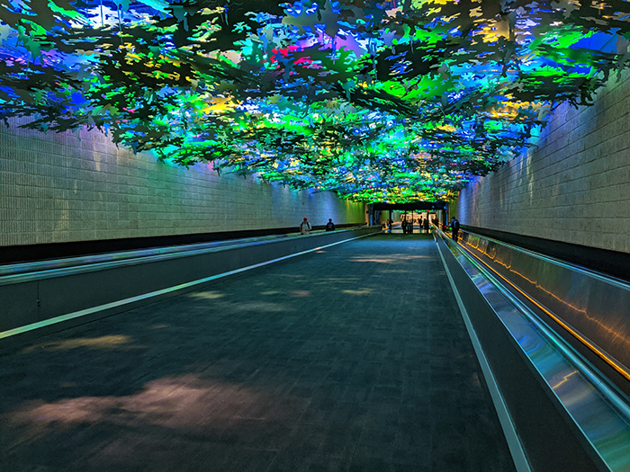 6862 MarcoCiavolino Week 20200217 07 Color Pallette Post Full