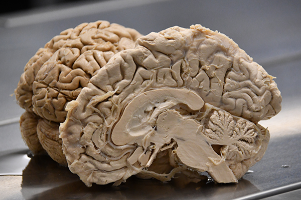 2020 50 Texture 1069 marco ciavolino DSC 1380