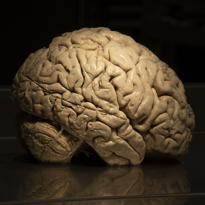 2020 50 Texture 1069 marco ciavolino post